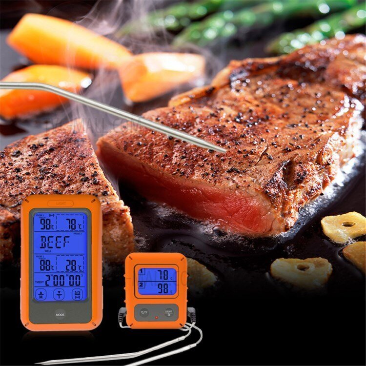 Bevielis nuotolinis skaitmeninis maisto/mėsos termometras su 2 zondais kaina ir informacija | Grilio, šašlykinių priedai ir aksesuarai  | pigu.lt