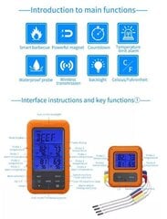 Vandeniui atsparus bevielis mėsos/maisto termometras su 4 zondais kaina ir informacija | Grilio, šašlykinių priedai ir aksesuarai | pigu.lt