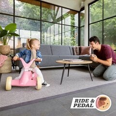Balansinis dviratukas Berg GO2 Gokart 2in1, retro rožinė kaina ir informacija | Žaislai kūdikiams | pigu.lt