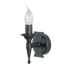 Настенный светильник Elstead Lighting Saxon SAX1-BLK цена и информация | Настенные светильники | pigu.lt