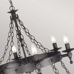 Подвесной светильник Elstead Lighting Warwick цена и информация | Люстры | pigu.lt