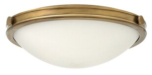 Потолочный светильник Elstead Lighting Collier HK-COLLIER-F-M цена и информация | Потолочные светильники | pigu.lt