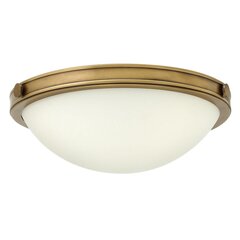 Потолочный светильник Elstead Lighting Collier HK-COLLIER-F-S цена и информация | Потолочные светильники | pigu.lt