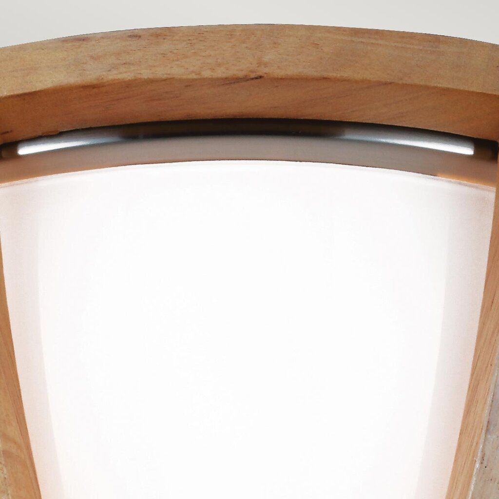 Lubinis šviestuvas Elstead Lighting Allier FE-ALLIER-F-LW kaina ir informacija | Lubiniai šviestuvai | pigu.lt