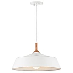 Подвесной светильник Elstead Lighting Danika KL-DANIKA-P цена и информация | Люстры | pigu.lt