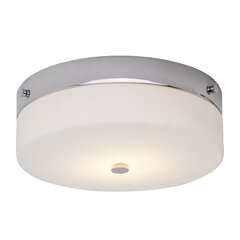 Потолочный светильник Elstead Lighting Tamar TAMAR-F-L-PC цена и информация | Потолочные светильники | pigu.lt