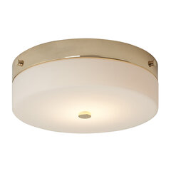 Потолочный светильник для ванной комнаты Elstead Lighting Tamar TAMAR-F-L-PG цена и информация | Потолочные светильники | pigu.lt
