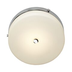 Потолочный светильник для ванной комнаты Elstead Lighting Tamar TAMAR-F-M-PC цена и информация | Потолочные светильники | pigu.lt