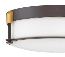 Потолочный светильник для ванной комнаты Elstead Lighting Colbin HK-COLBIN-F-M-OZ цена и информация | Потолочные светильники | pigu.lt