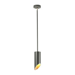 Подвесной светильник Elstead Lighting Quinto QUINTO1P-GPN цена и информация | Люстры | pigu.lt