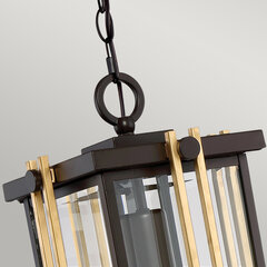 Уличный подвесной светильник Elstead Lighting Goldenrod QZ-GOLDENROD8-M цена и информация | Уличные светильники | pigu.lt
