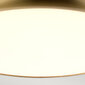 Lubinis vonios šviestuvas Elstead Lighting Welland WELLAND-F-S-AB цена и информация | Lubiniai šviestuvai | pigu.lt