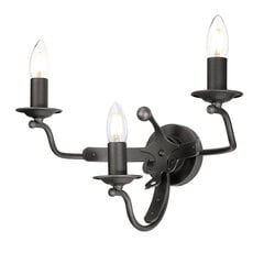 Настенный светильник Elstead Lighting Windsor graphite WINDSOR-W3-GR цена и информация | Настенные светильники | pigu.lt