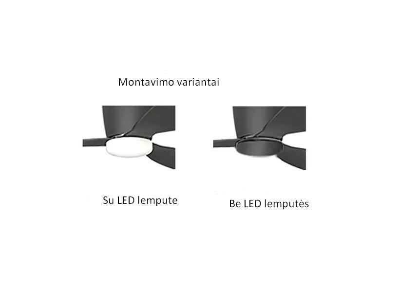 Lubinis ventiliatorius su apšvietimu AZzardo Veneti AZ4450 kaina ir informacija | Lubiniai šviestuvai | pigu.lt