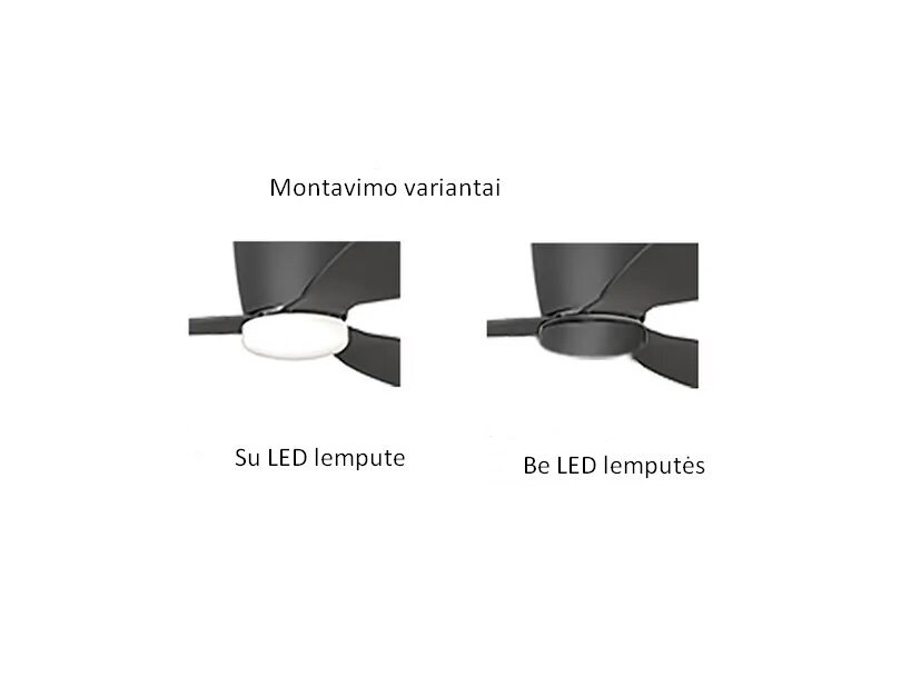 Lubinis ventiliatorius su apšvietimu AZzardo Veneti AZ4449 kaina ir informacija | Lubiniai šviestuvai | pigu.lt