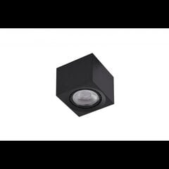 Потолочный светильник AZzardo Eco AZ4317 цена и информация | Потолочные светильники | pigu.lt