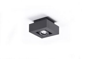 Потолочный светильник AZzardo Nikea AZ4432 цена и информация | Потолочные светильники | pigu.lt
