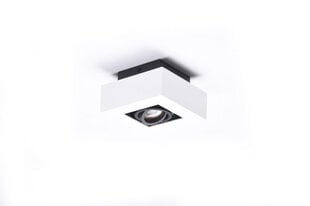 Потолочный светильник AZzardo Nikea AZ4430 цена и информация | Потолочные светильники | pigu.lt
