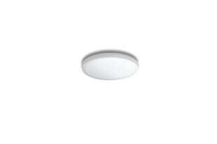 Потолочный светильник AZzardo Malta AZ4238 цена и информация | Потолочные светильники | pigu.lt