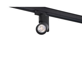 Встраиваемый направленный светильник AZzardo Santos AZ4203 цена и информация | Монтируемые светильники, светодиодные панели | pigu.lt
