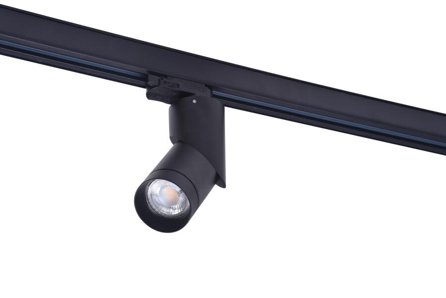 Įmontuojamas kryptinis šviestuvas AZzardo Santos AZ4203 kaina ir informacija | Įmontuojami šviestuvai, LED panelės | pigu.lt