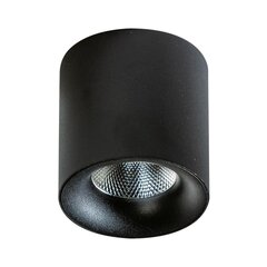 Потолочный светильник AZzardo Mane AZ4156 цена и информация | Потолочные светильники | pigu.lt