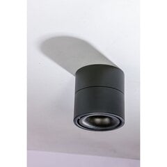 Потолочный светильник AZzardo Costa AZ4553 цена и информация | Потолочные светильники | pigu.lt