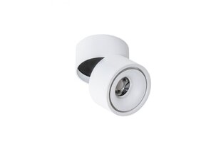 Потолочный светильник AZzardo Costa AZ4554 цена и информация | Потолочные светильники | pigu.lt