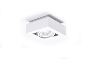 Потолочный светильник AZzardo Nikea AZ4437 цена и информация | Потолочные светильники | pigu.lt