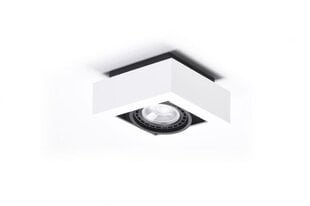 Потолочный светильник Azzardo Nikea AZ4436 цена и информация | Потолочные светильники | pigu.lt