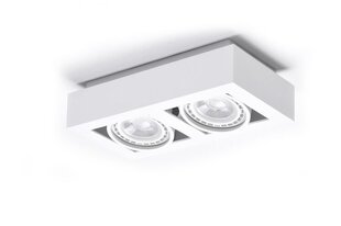 Потолочный светильник AZzardo Nikea AZ4440 цена и информация | Потолочные светильники | pigu.lt