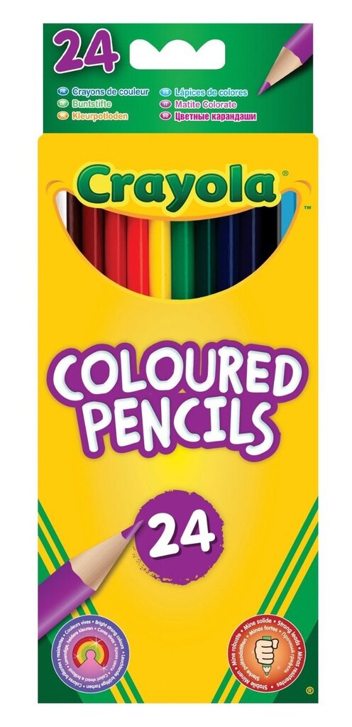 Spalvoti pieštukai Crayola, 24 vnt. kaina ir informacija | Piešimo, tapybos, lipdymo reikmenys | pigu.lt