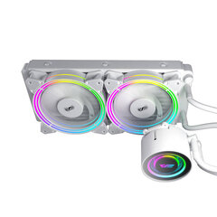 Darkflash TR240 PC Water Cooling AiO RGB 2x 120x120, baltas kaina ir informacija | Kompiuterių ventiliatoriai | pigu.lt