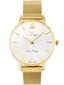 Laikrodis moterims G. Rossi - G.R12177B-3D1 (zg771b) TAY11230 цена и информация | Moteriški laikrodžiai | pigu.lt