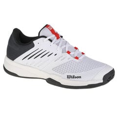 Sportiniai batai vyrams Wilson Kaos Devo 2.0 M WRS329020 цена и информация | Кроссовки мужские | pigu.lt