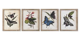 Картина DKD Home Decor, Средиземноморье (40 x 2 x 50 cm) (4 шт.) цена и информация | Репродукции, картины | pigu.lt