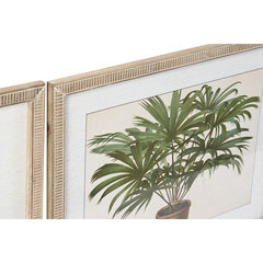 Картина DKD Home Decor, Пальмы (65 x 2 x 50 cm) (4 шт.) цена и информация | Репродукции, картины | pigu.lt