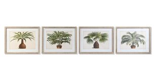 Картина DKD Home Decor, Пальмы (65 x 2 x 50 cm) (4 шт.) цена и информация | Репродукции, картины | pigu.lt