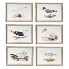 Картина DKD Home Decor, птицы (70 x 2,5 x 50 cm) (6 шт.) цена и информация | Репродукции, картины | pigu.lt