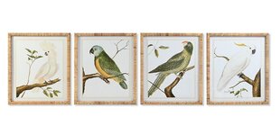 Картина DKD Home Decor, птицы (50 x 2,5 x 60 cm) (4 шт.) цена и информация | Репродукции, картины | pigu.lt