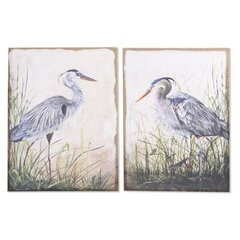 Картина DKD Home Decor Птица (2 шт.) (50 x 3 x 70 см) цена и информация | Репродукции, картины | pigu.lt