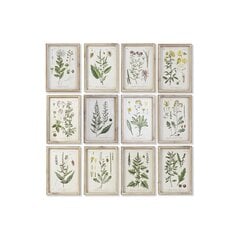 Картина DKD Home Decor Цветы, растения и деревья Shabby Chic (24 x 2 x 34.5 см) (12 шт.) цена и информация | Репродукции, картины | pigu.lt