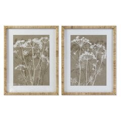 Картина DKD Home Decor Цветы Shabby Chic (55 x 2.5 x 70 см) (2 шт.) цена и информация | Репродукции, картины | pigu.lt