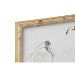 Картина DKD Home Decor птицы (60 x 2.8 x 45 см) (4 шт.) цена и информация | Репродукции, картины | pigu.lt