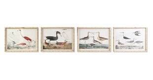 Paveikslas DKD Home Decor Paukščiai, 60 x 2,8 x 45 cm, 4 vnt. kaina ir informacija | Reprodukcijos, paveikslai | pigu.lt