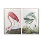 Paveikslas DKD Home Decor paukščiai, 80 x 4 x 120 cm, 2 vnt. цена и информация | Reprodukcijos, paveikslai | pigu.lt