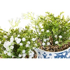Dekoratyvinis augalas DKD Home Decor, 2 vnt. kaina ir informacija | Dirbtinės gėlės | pigu.lt