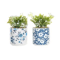 DKD Home Decor     (10,5 x 11,5 x 14 cm) (2 ) цена и информация | Искусственные цветы | pigu.lt