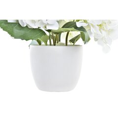 Декоративные цветы DKD Home Decor, 2 шт. цена и информация | Искусственные цветы | pigu.lt