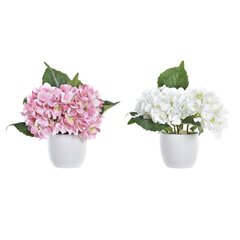 Dekoratyvinės gėlės DKD Home Decor, 2 vnt. kaina ir informacija | Dirbtinės gėlės | pigu.lt